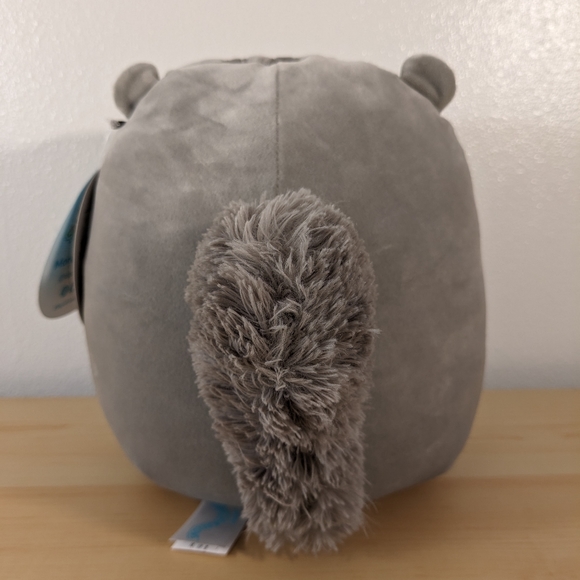 8" Androu the Squirrel Squishmallow - Picture 3 of 3